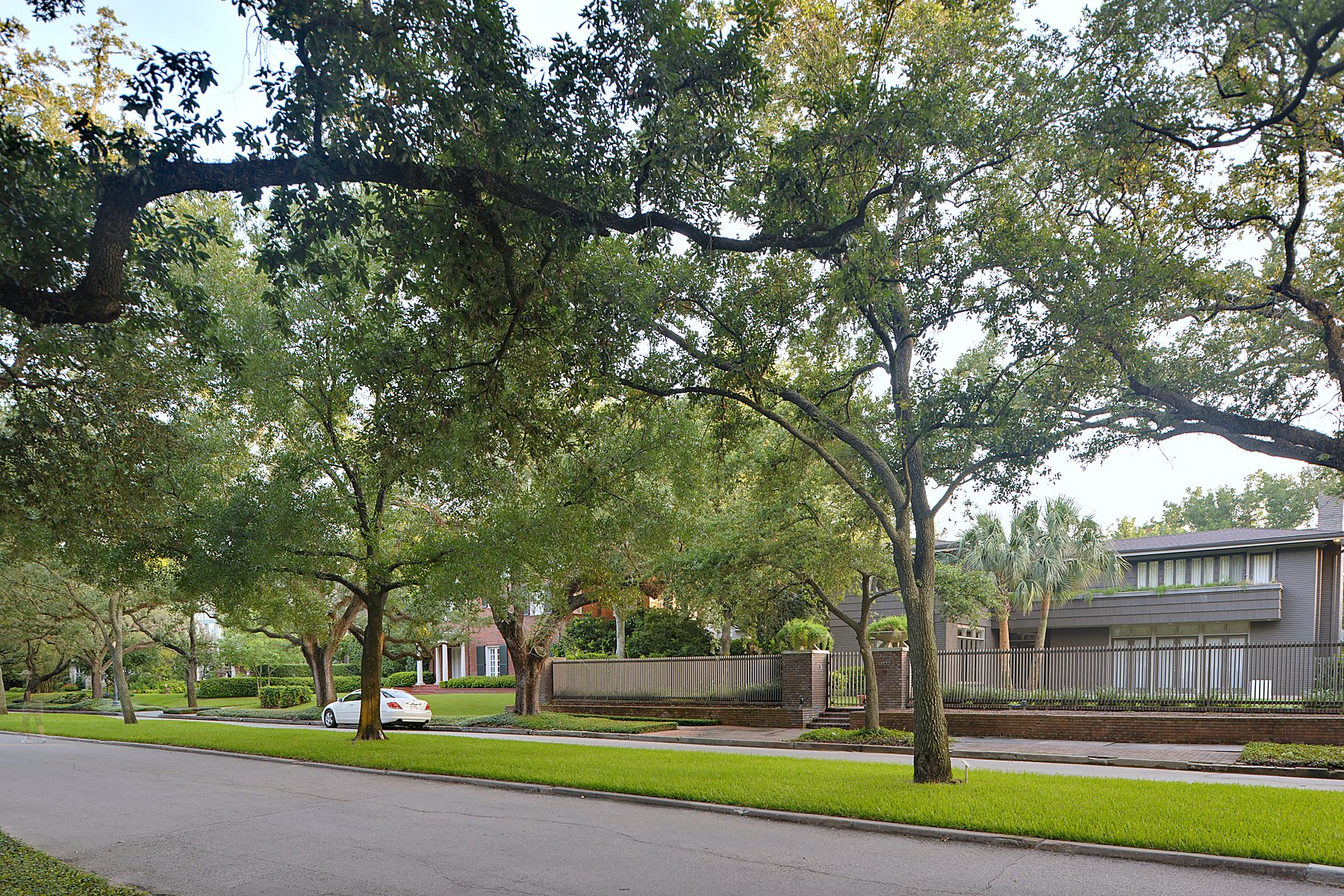 Tree-lined Houston residential street representing Memorial-area softwashing